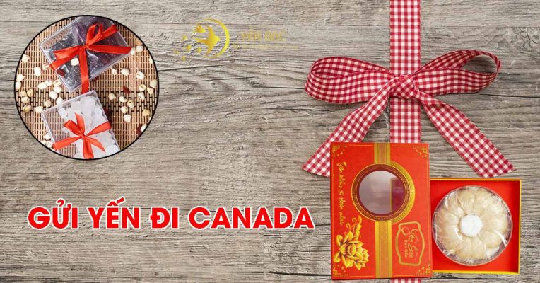 Gửi yến đi Canada