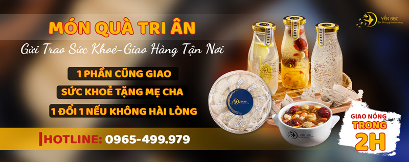 Sản Phẩm Tổ Yến Tổ Yến Chất Lượng